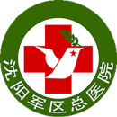 沈阳军区总开云平台官网入口
