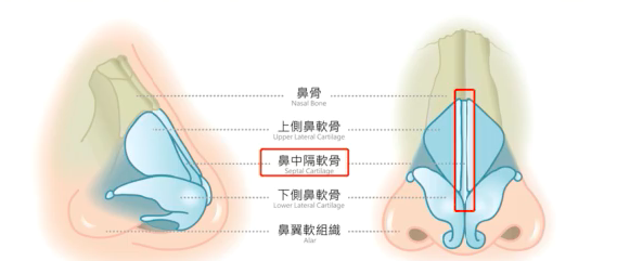 截屏2020-03-05上午11.48.08.png