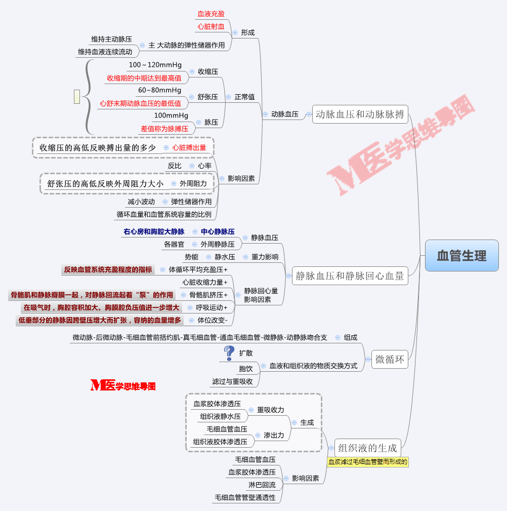 今日思维导图之生理学