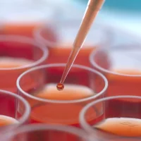 华韵/ HuH-7细胞专用培养基,HYPC3842